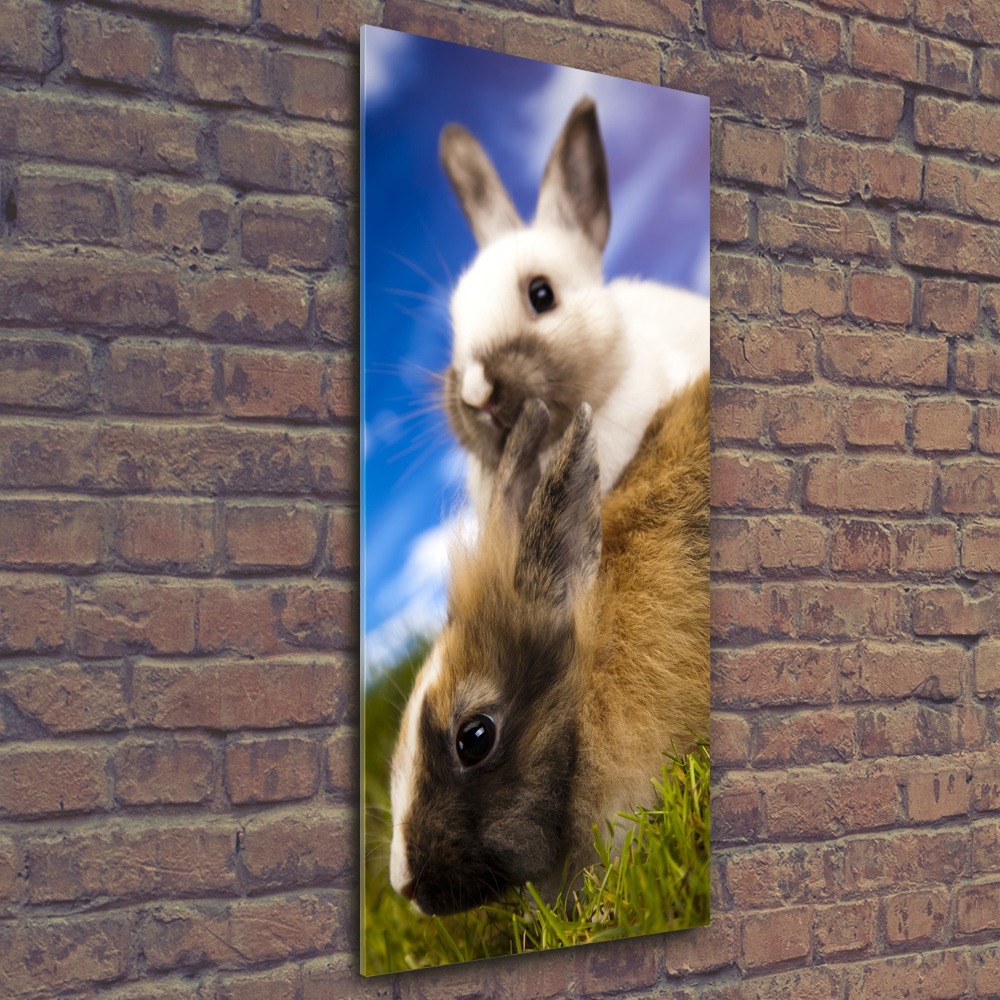 Foto obraz akryl pionowy Dwa króliki