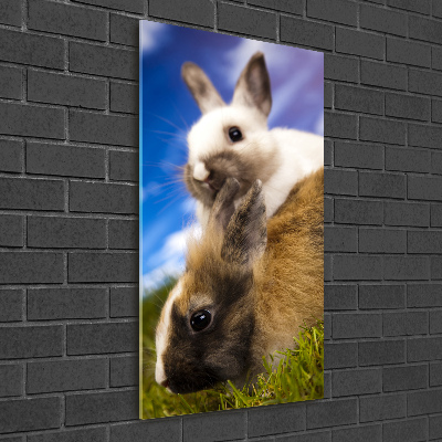 Foto obraz akryl pionowy Dwa króliki