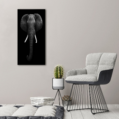 Foto obraz na ścianę akryl pionowy Słoń afrykański