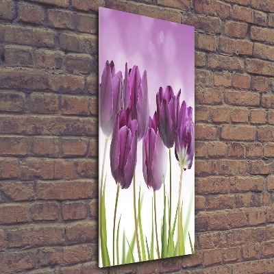 Obraz zdjęcie szkło akryl pionowy Fioletowe tulipany