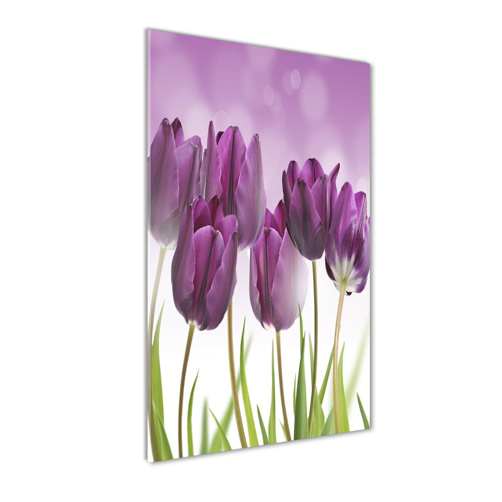 Obraz zdjęcie szkło akryl pionowy Fioletowe tulipany