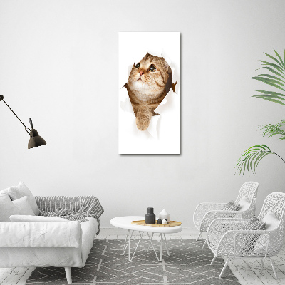 Foto obraz na ścianę akryl pionowy Kot