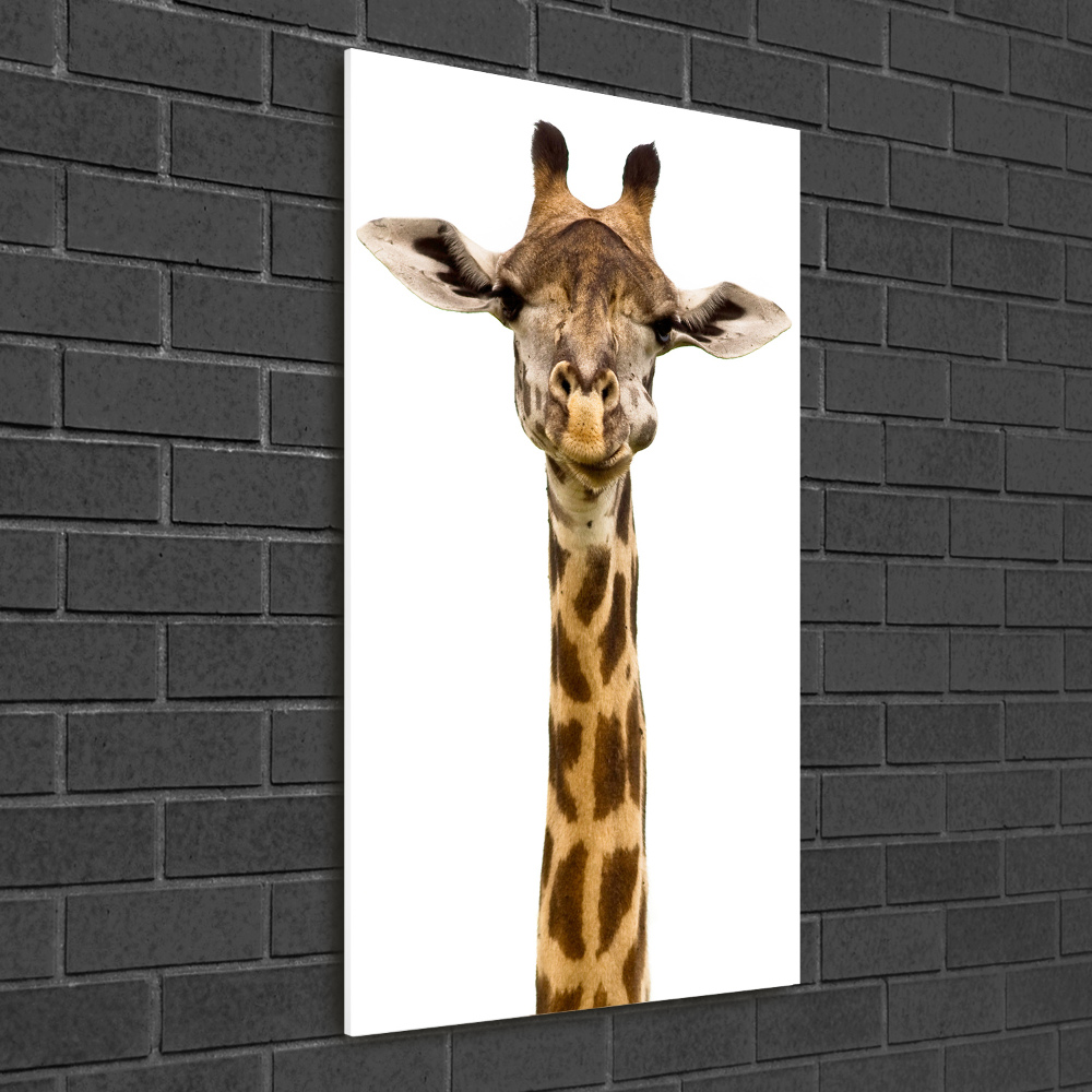 Foto obraz szkło akryl pionowy Żyrafa