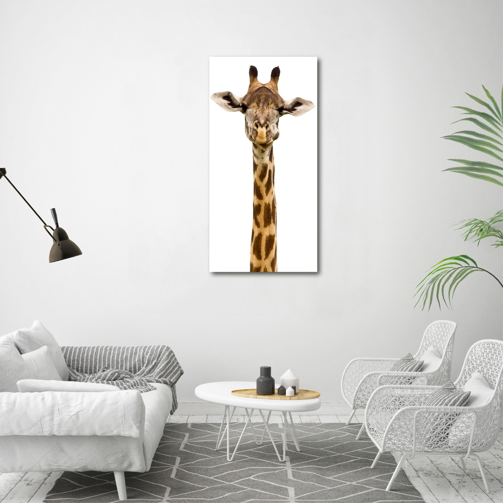 Foto obraz szkło akryl pionowy Żyrafa
