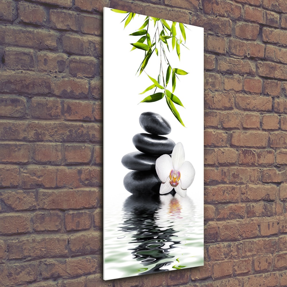 Foto obraz szkło akryl pionowy Orchidea i kamienie
