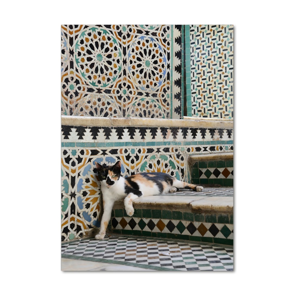 Foto obraz szkło akryl pionowy Kot w Maroko