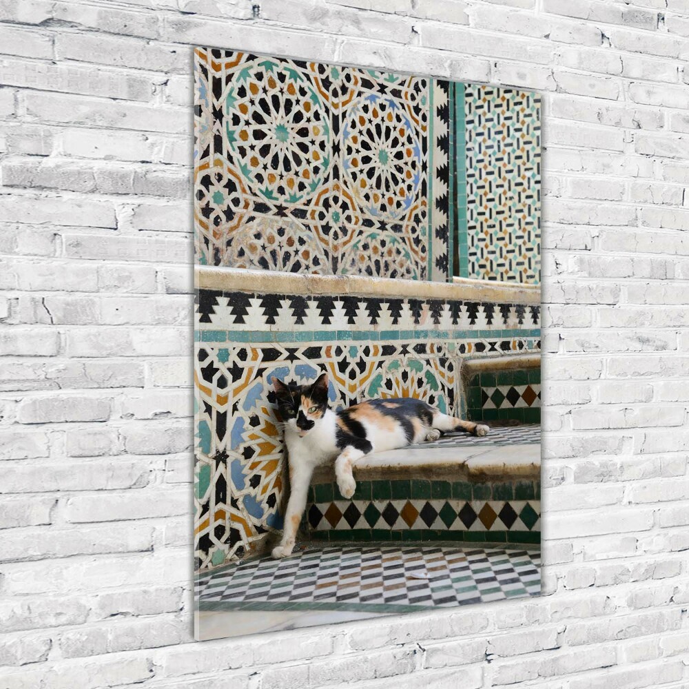 Foto obraz szkło akryl pionowy Kot w Maroko