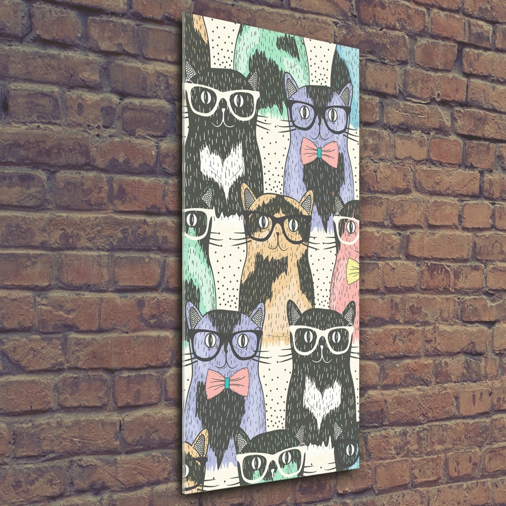 Obraz zdjęcie szkło akryl pionowy Koty w okularach