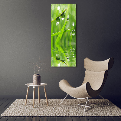 Obraz zdjęcie na ścianę akryl pionowy Źdźbła trawy