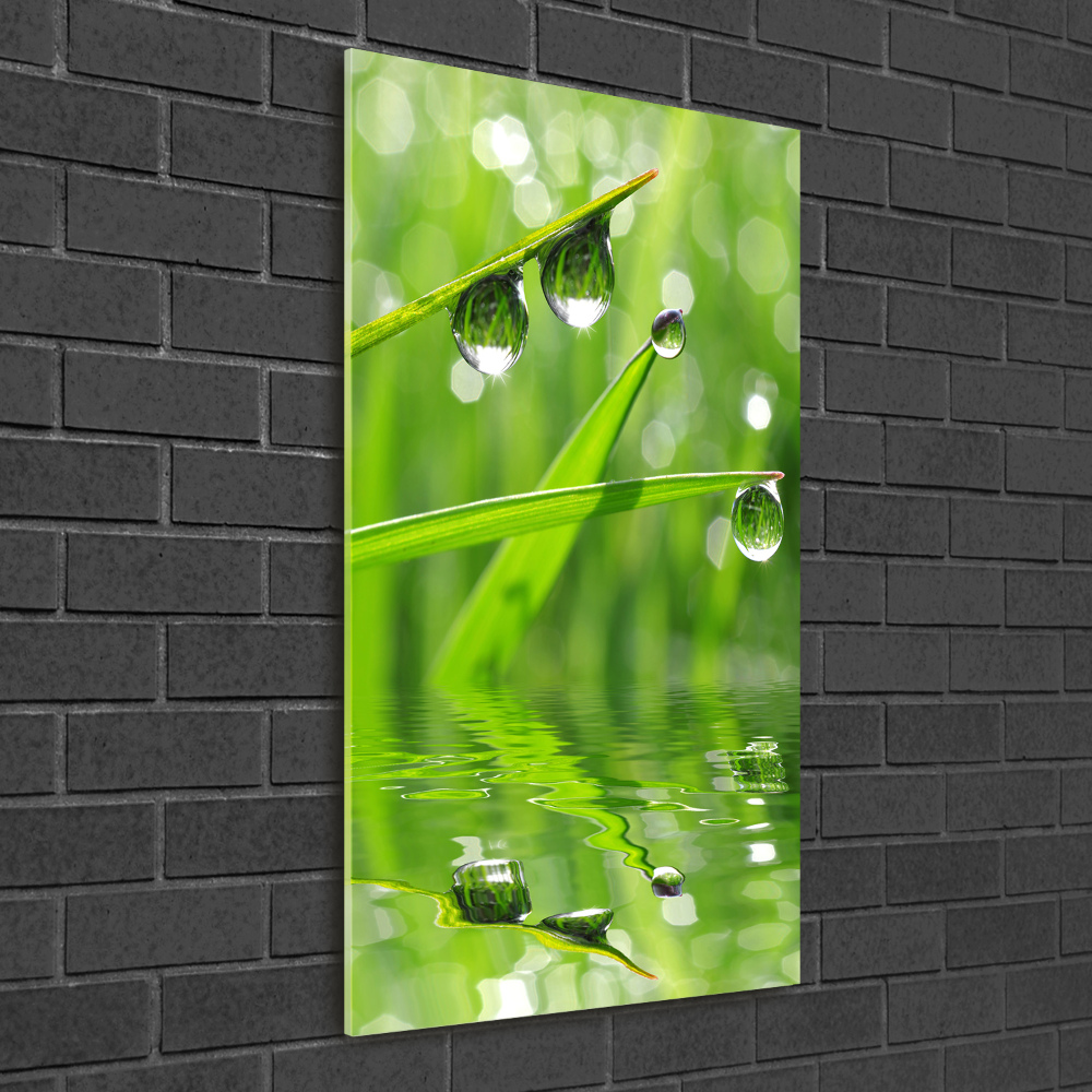 Obraz zdjęcie na ścianę akryl pionowy Źdźbła trawy