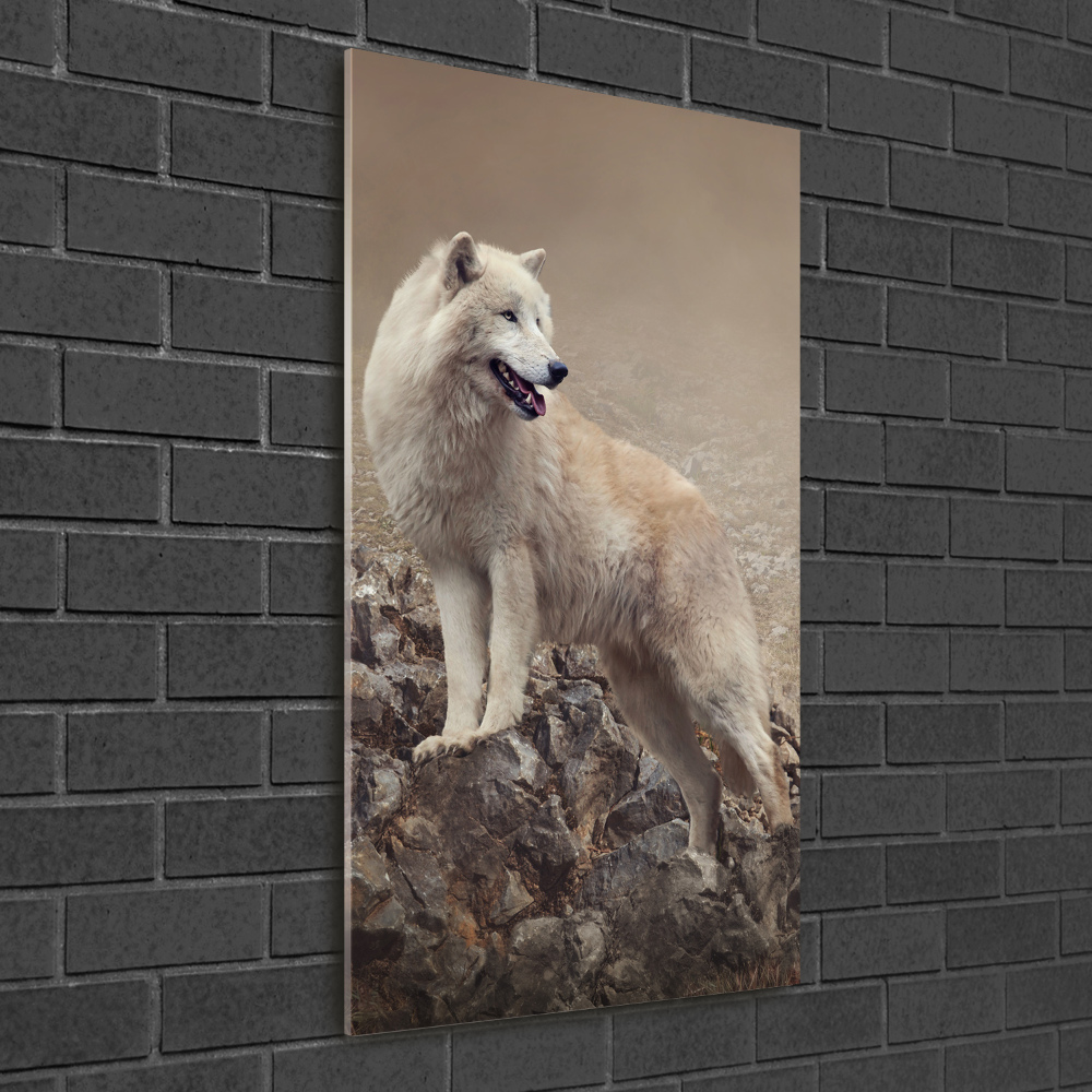 Foto obraz akryl pionowy Wilk na skale