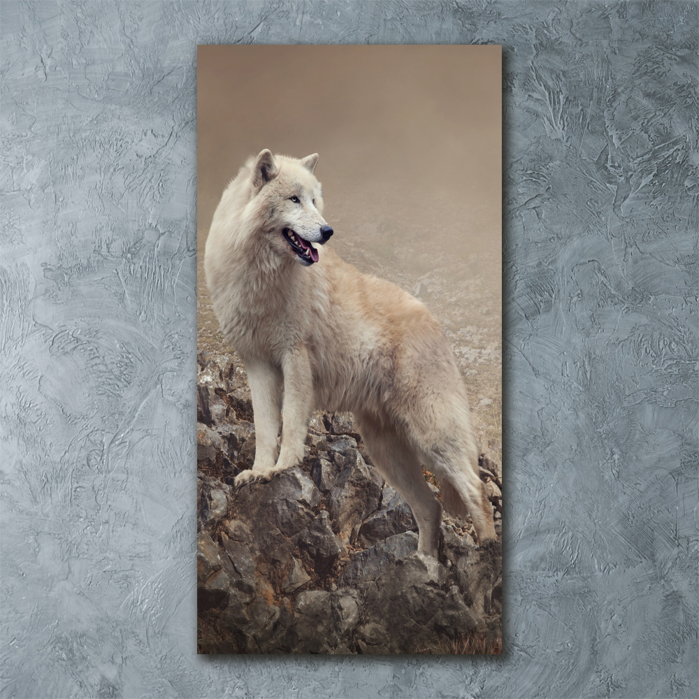 Foto obraz akryl pionowy Wilk na skale