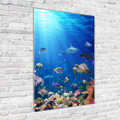 Foto obraz akryl pionowy Rafa koralowa