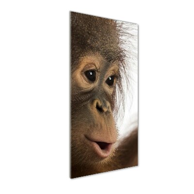 Foto obraz szkło akryl pionowy Młody orangutan