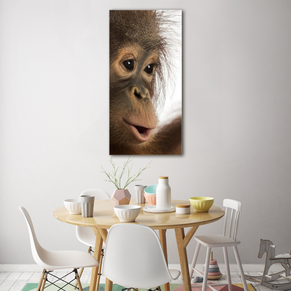 Foto obraz szkło akryl pionowy Młody orangutan