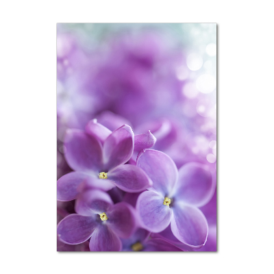 Obraz zdjęcie szkło akryl pionowy Kwiaty bzu