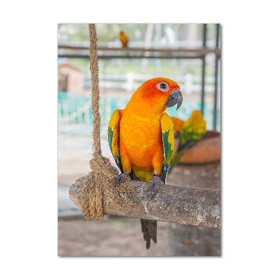 Foto obraz duży na scianę akrylowy pionowy Papuga