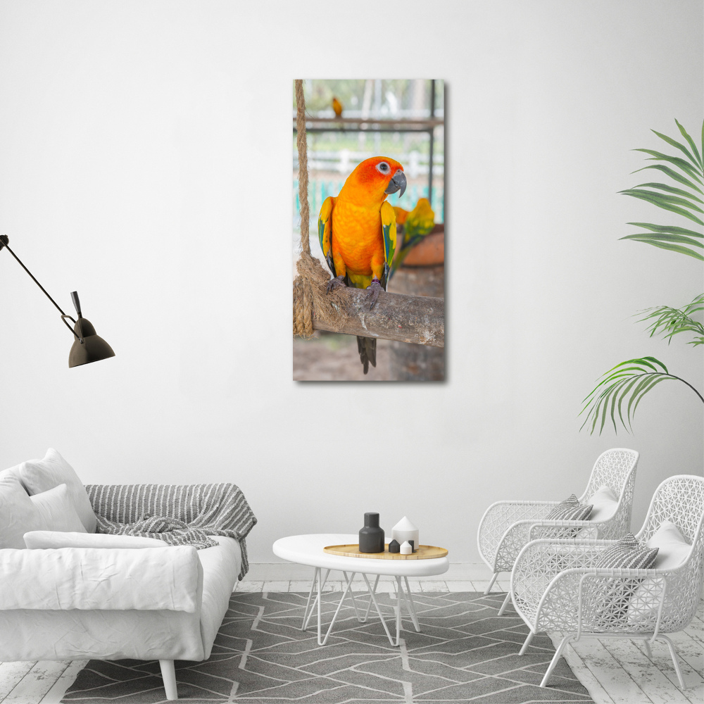Foto obraz duży na scianę akrylowy pionowy Papuga