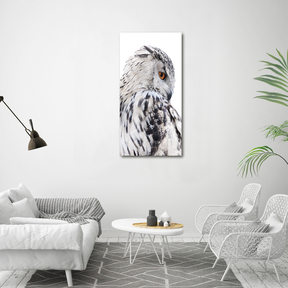 Foto obraz szkło akryl pionowy Biała sowa