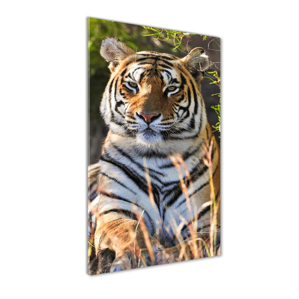 Foto obraz akryl pionowy Tygrys