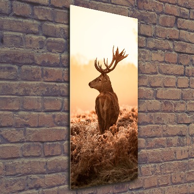 Foto obraz na ścianę akryl pionowy Jeleń wschód słońca