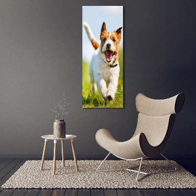Foto obraz szkło akryl pionowy Pies Jack Russell