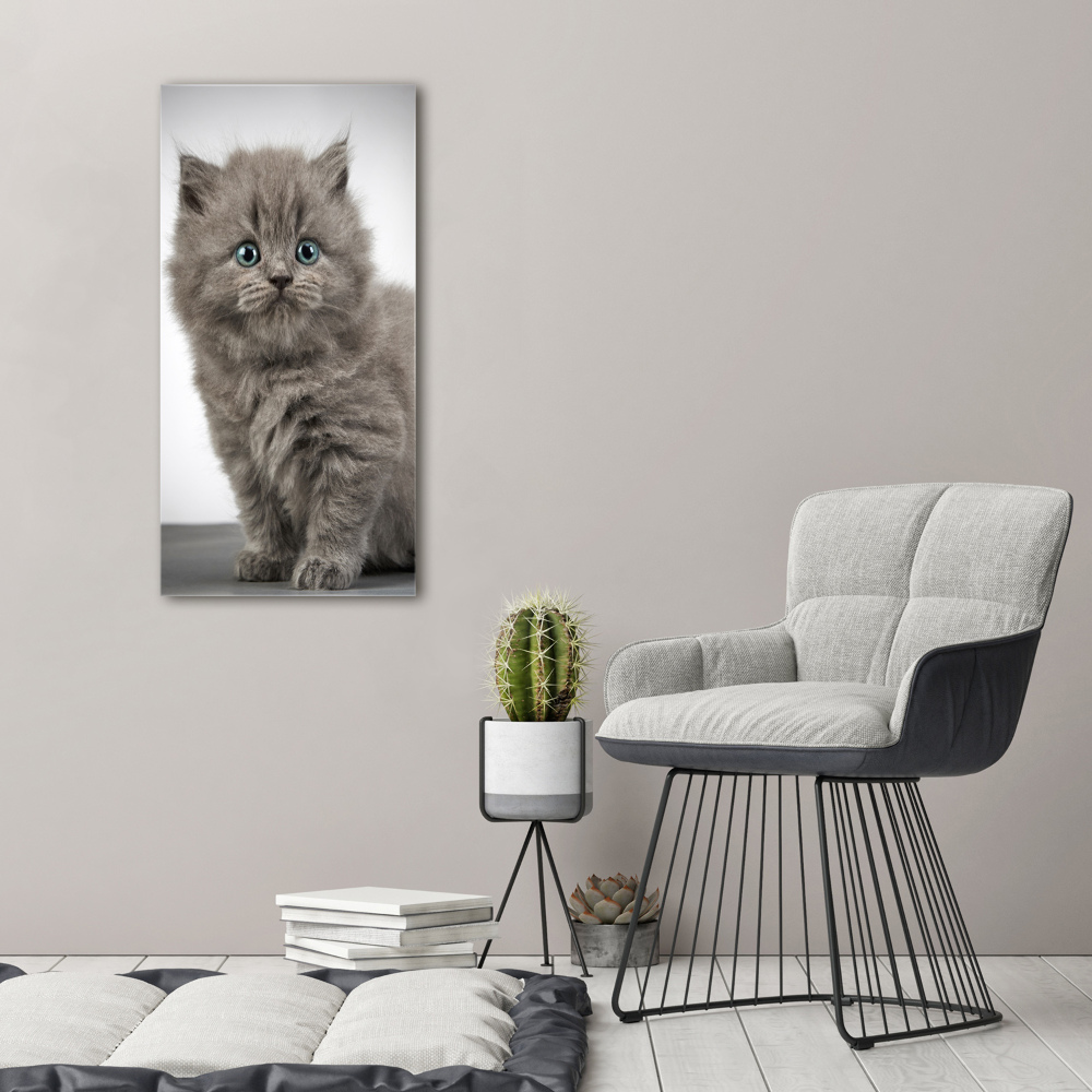 Foto obraz szkło akryl pionowy Szary brytyjski kot