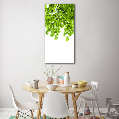 Obraz zdjęcie akryl pionowy Korona drzew