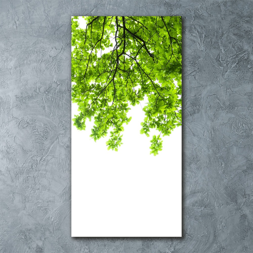 Obraz zdjęcie akryl pionowy Korona drzew