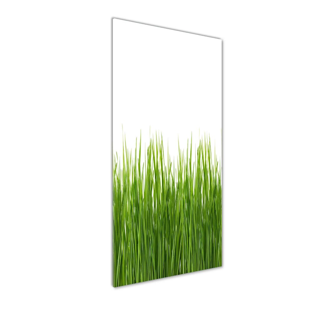 Obraz zdjęcie szkło akryl pionowy Zielona trawa