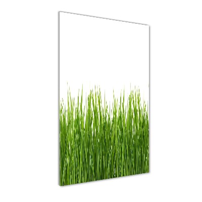 Obraz zdjęcie szkło akryl pionowy Zielona trawa