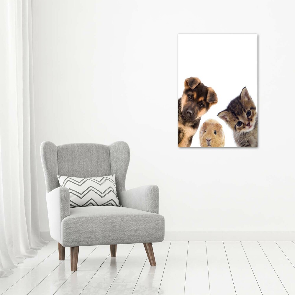 Foto obraz akryl pionowy Zwierzęta domowe