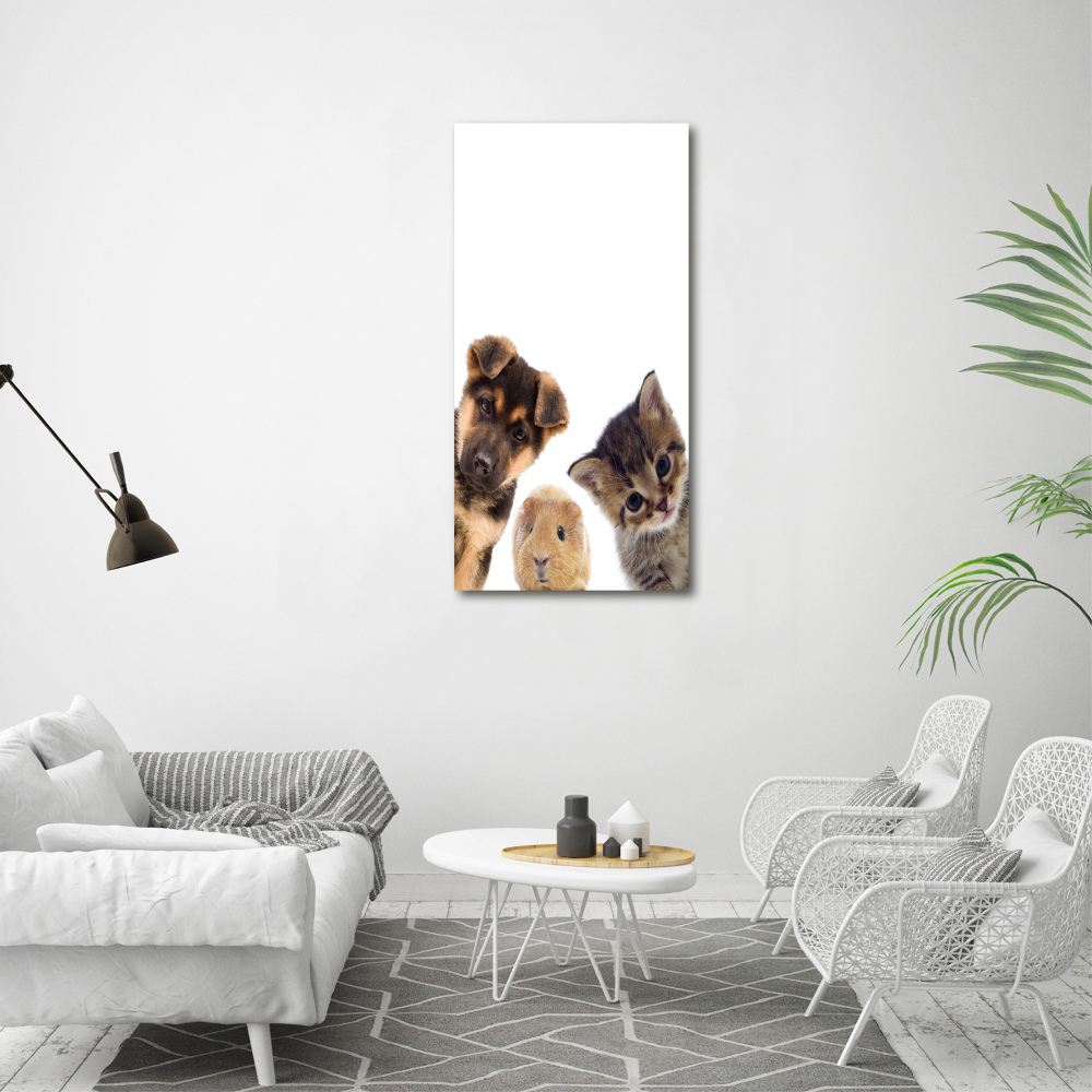 Foto obraz akryl pionowy Zwierzęta domowe