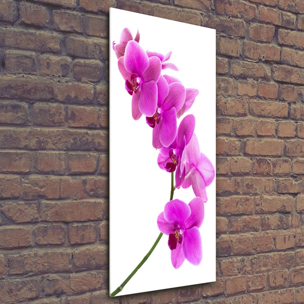 Obraz zdjęcie szkło akryl pionowy Różowa orchidea