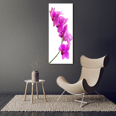 Obraz zdjęcie szkło akryl pionowy Różowa orchidea