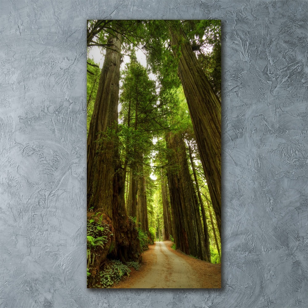 Foto obraz na ścianę akryl pionowy Ścieżka w lesie