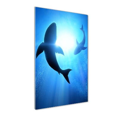 Foto obraz szkło akryl pionowy Sylwetki rekinów