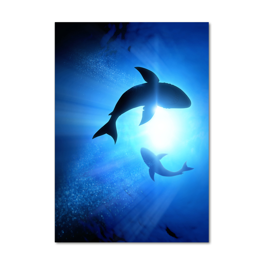 Foto obraz szkło akryl pionowy Sylwetki rekinów