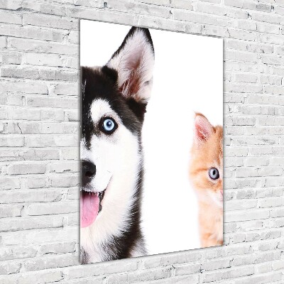 Foto obraz na scianę akrylowy pionowy Pies i kot