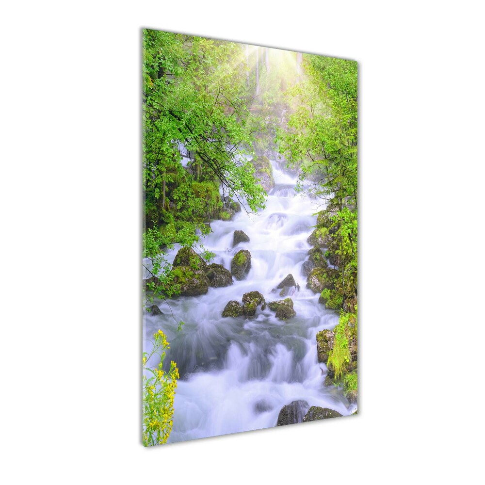 Foto obraz szkło akryl pionowy Górski potok