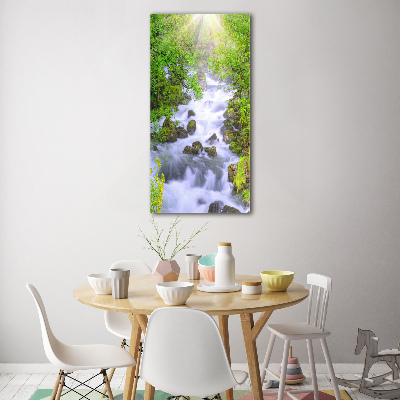 Foto obraz szkło akryl pionowy Górski potok