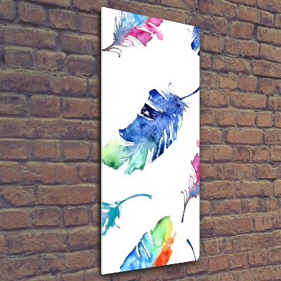 Foto obraz szkło akryl pionowy Kolorowe piórka