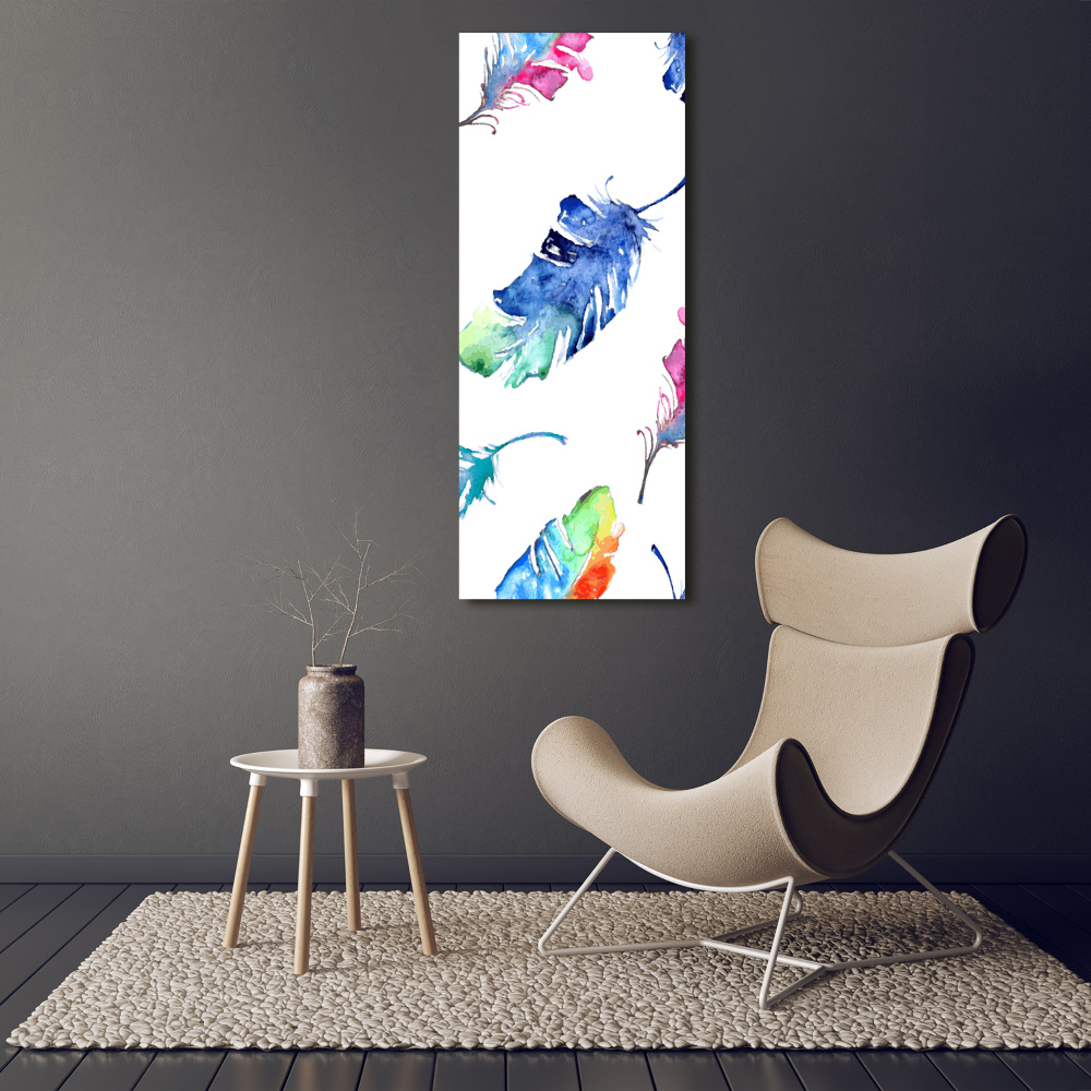 Foto obraz szkło akryl pionowy Kolorowe piórka