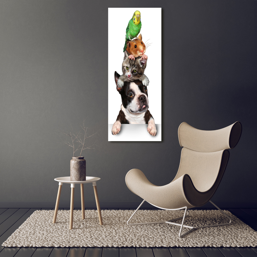 Foto obraz na ścianę akryl pionowy Zwierzęta domowe