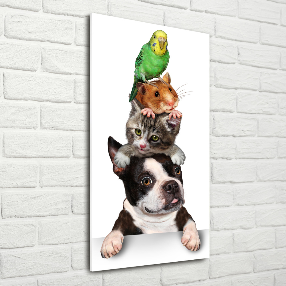 Foto obraz na ścianę akryl pionowy Zwierzęta domowe
