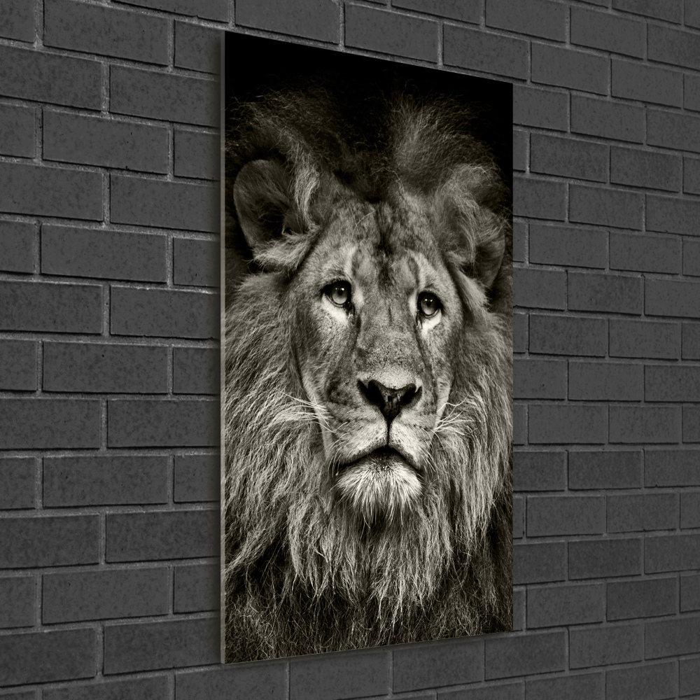Foto obraz szkło akryl pionowy Lew