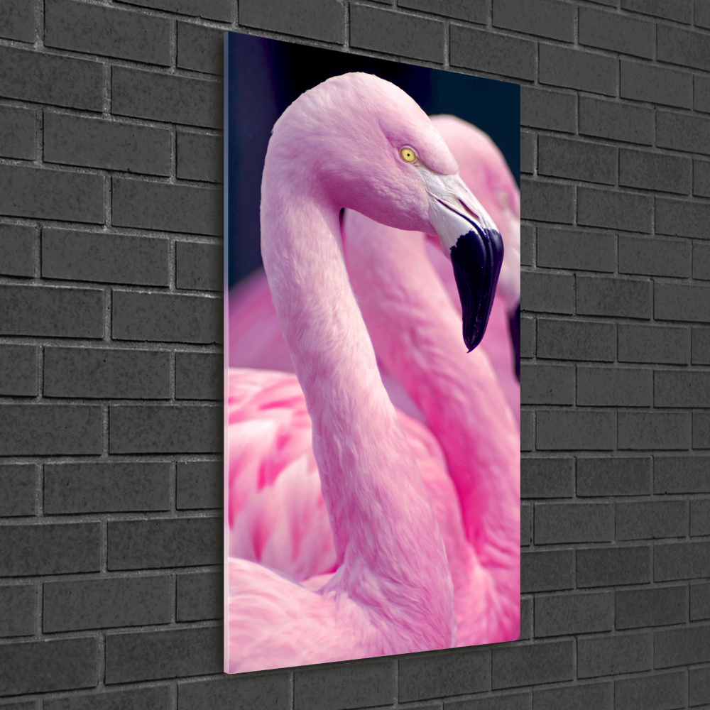Foto obraz szkło akryl pionowy Flamingi