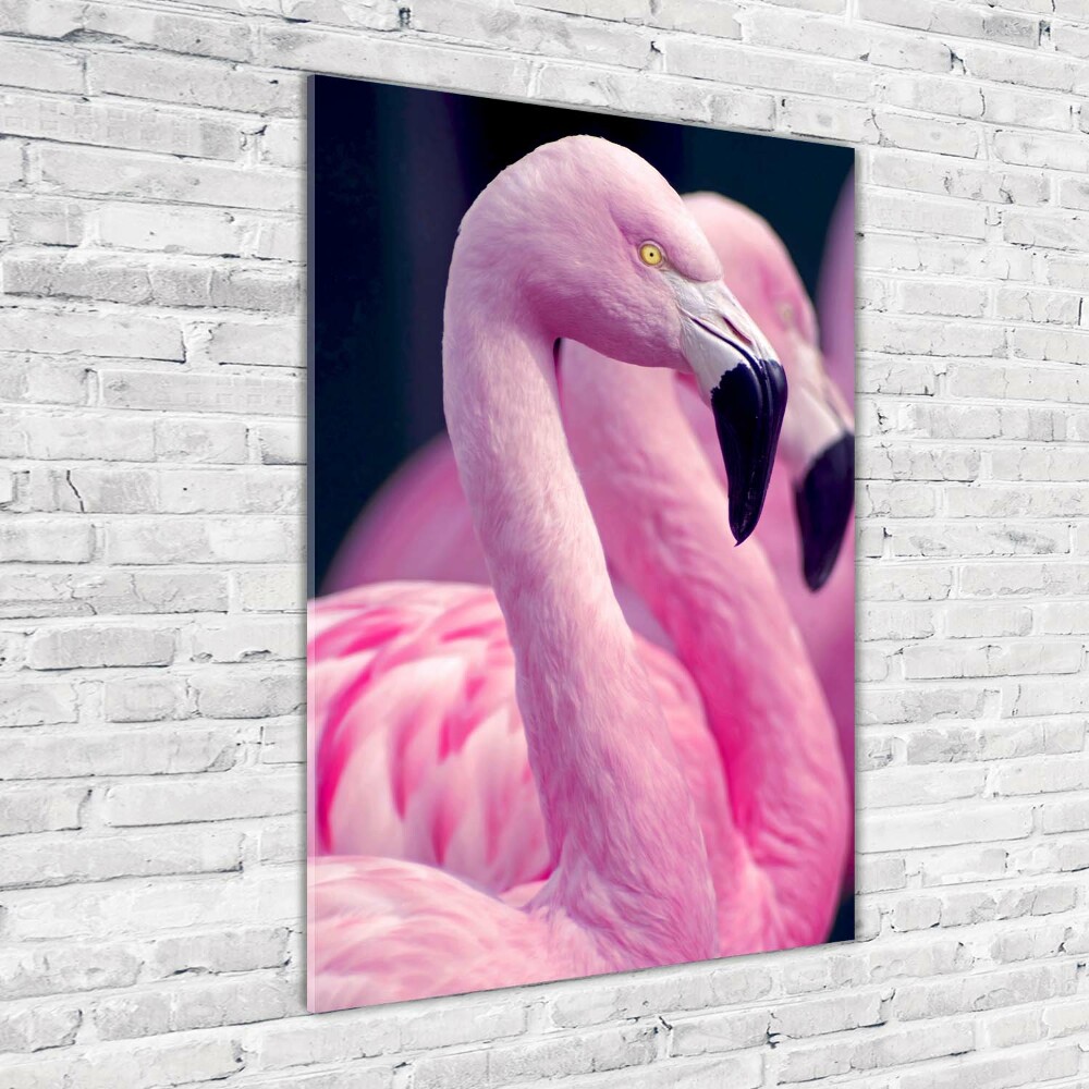 Foto obraz szkło akryl pionowy Flamingi