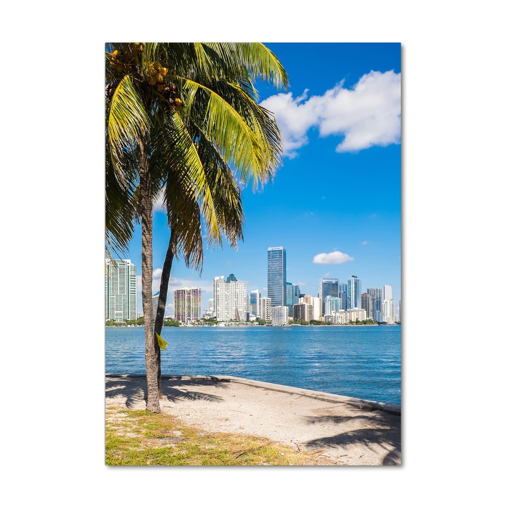 Foto obraz szkło akryl pionowy Miami