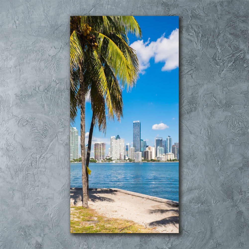Foto obraz szkło akryl pionowy Miami
